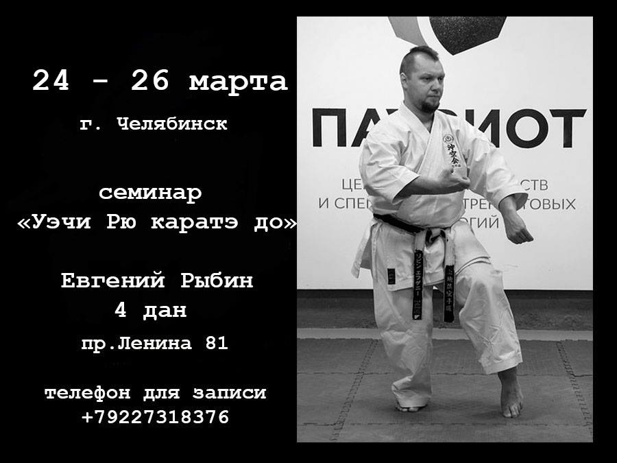 seminar rybin mar2017