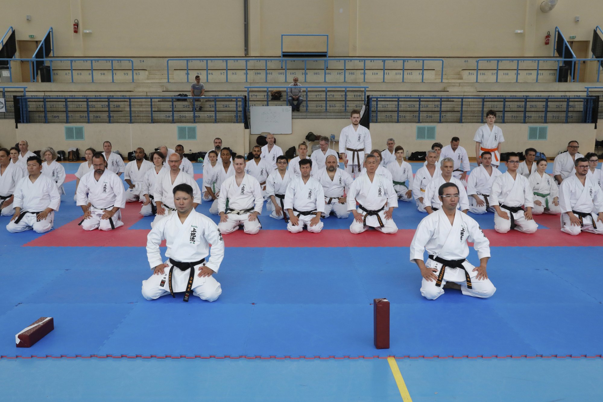 uechi seminar france may2019