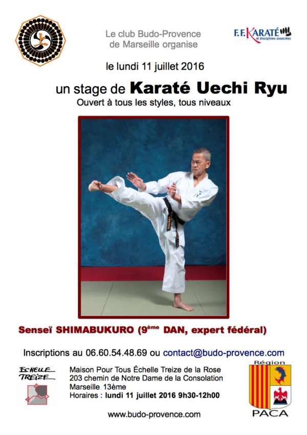Stage Shimabukuro Marseille 2016