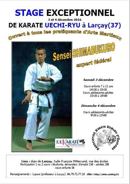 shimabukuro seminar dec2016