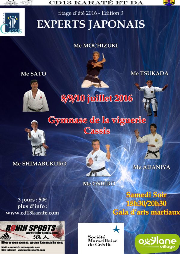 stage expert japonais cassis 2016