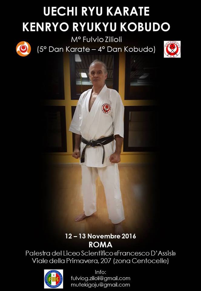 zilioli seminar nov2016