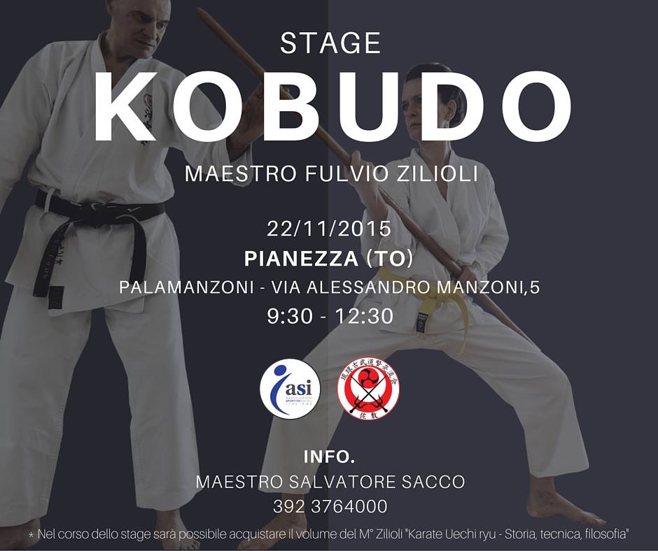 zilioli kobudo nov2015